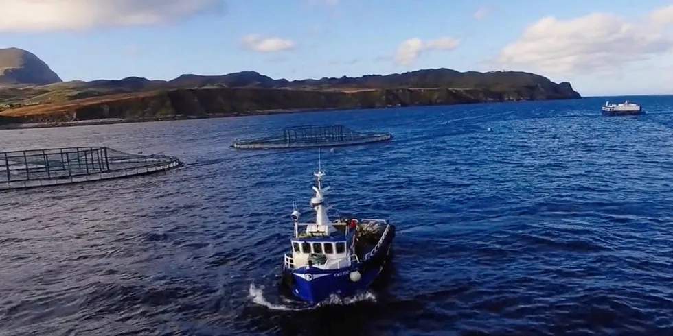 A Mowi Ireland organic salmon farming site.