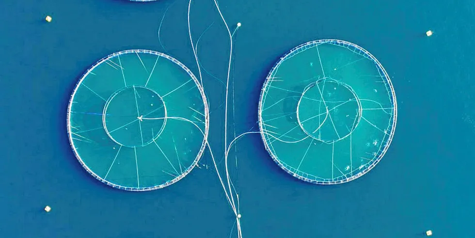 The seafood industry is lacking innovation. What can start-up accelerators like Hatch do to change it?