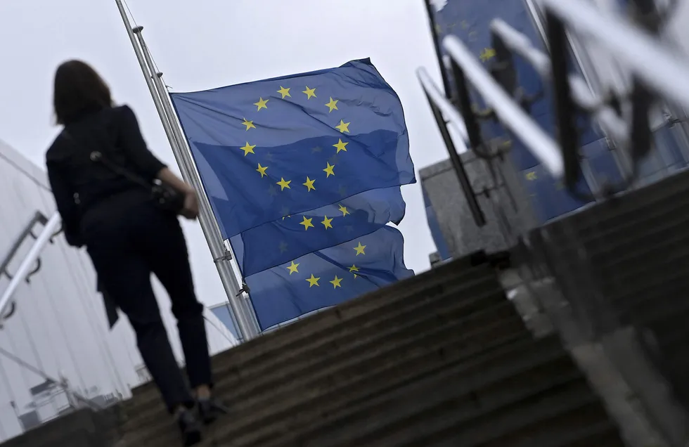 Long road: Flags close to the European Union headquarters in Brussels.