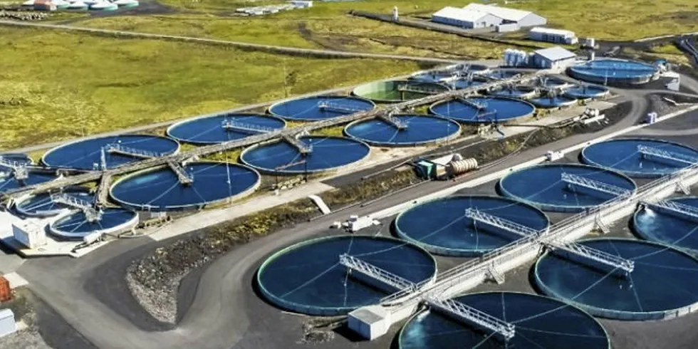 Samherji's salmon farm at Grindavik, Iceland.