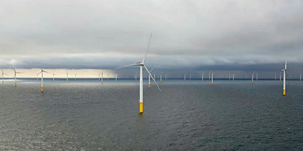 Northland developed the Gemini offshore wind park.