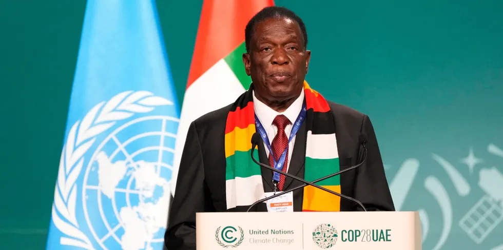 Leading the way: Zimbabwe President Emmerson Dambudzo Mnangagwa.