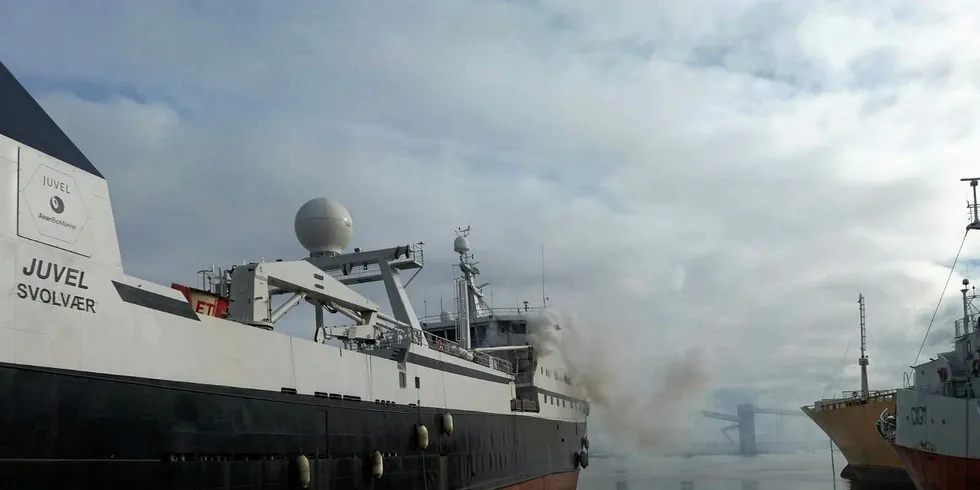 Aker BioMarine is one of five companies partnering with WWF.