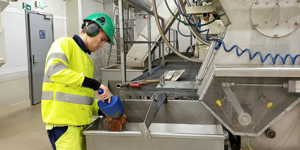 A worker taking samples of Skretting's feed.