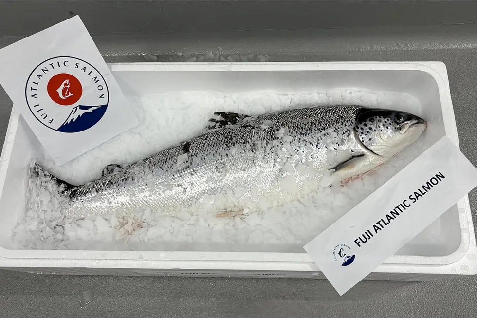 Proximar's newly branded land-based salmon.