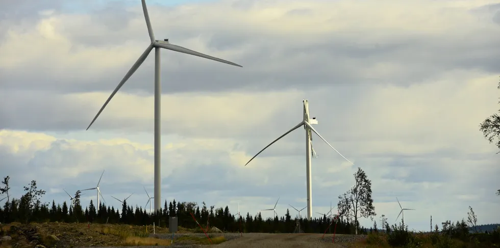 Damaged blade of a GE Cypress turbine at the Björkvattnet wind project in northern Sweden.