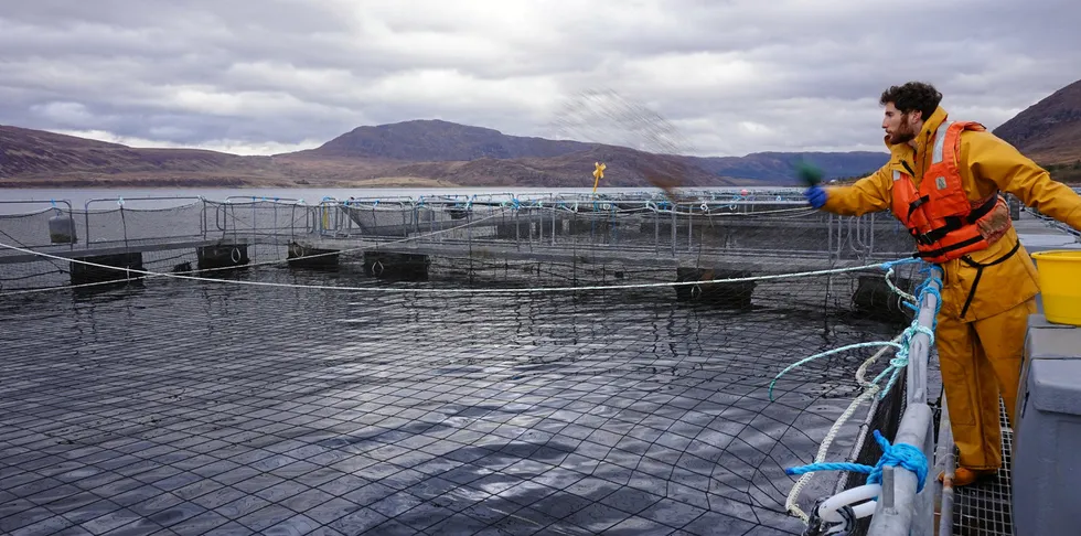 Wester Ross Fisheries is situated in the far North of the country.