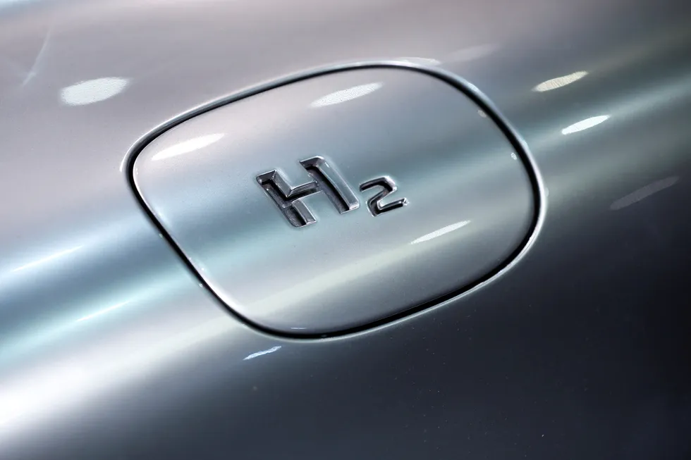Green hydrogen: Province will work with the Shire of Carnarvon to investigate suitable areas for infrastructure for its proposed 8GW renewable development