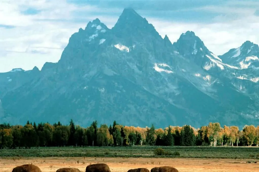 Wyoming decision: Judge says BLM must further consider climate change in oil and gas leasing