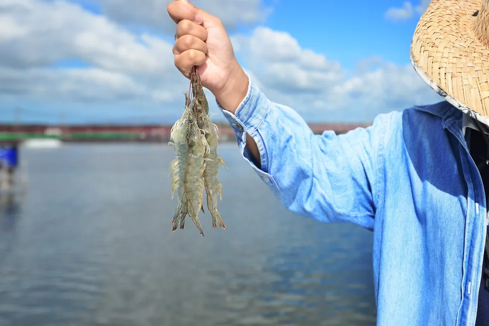 Thai Union’s sustainable shrimp procurement efforts in Thailand as part of its SeaChange 2030 sustainability strategy.