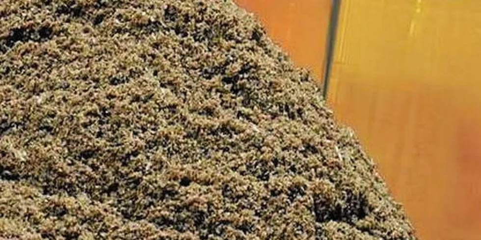 Fishmeal and oil prices are back on the comeback trail, and well above last year's levels.