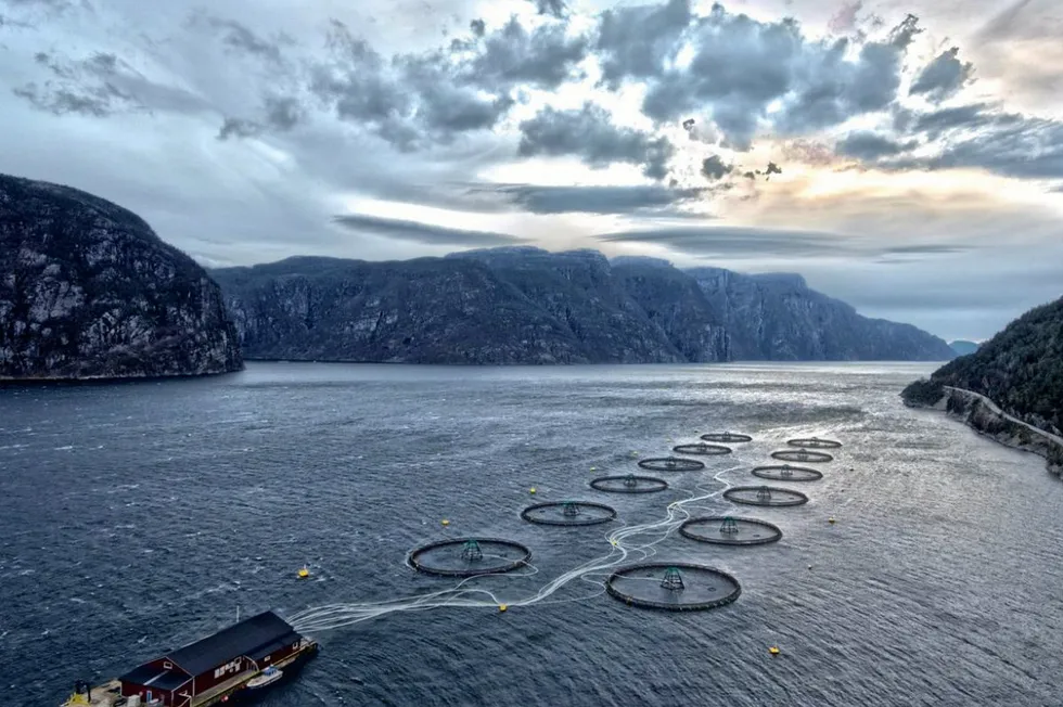 The case concerns Mowi's proposal for a salmon farm south of Shot Head in outer Bantry Bay. The picture is not related to the article.