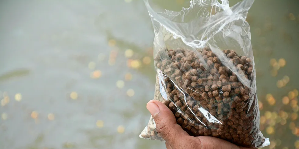 Salmon feed giants ‘prepare for what may happen’ following AquaChile acquisition