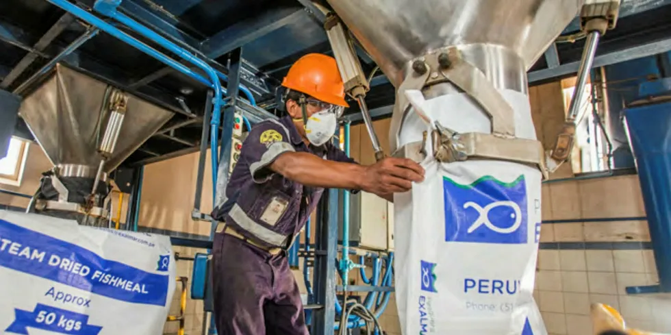 Peruvian anchovy fishmeal at an Exalmar factory.