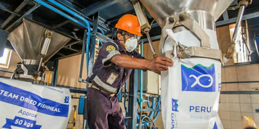 Peruvian anchovy fishmeal at an Exalmar factory.