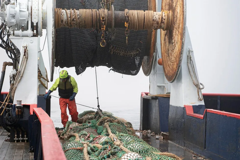 The chum stocks in western Alaska regions have seen precipitous population declines in recent years and hardship on subsistence users, which has prompted an outpouring of calls for the pollock fishery to minimize bycatch of western Alaska chum salmon in particular.