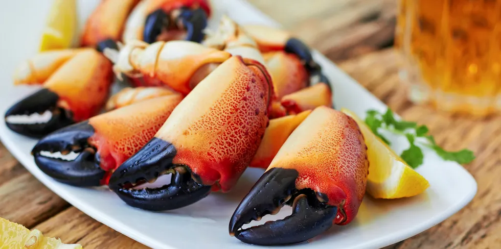 Stone crab claws.