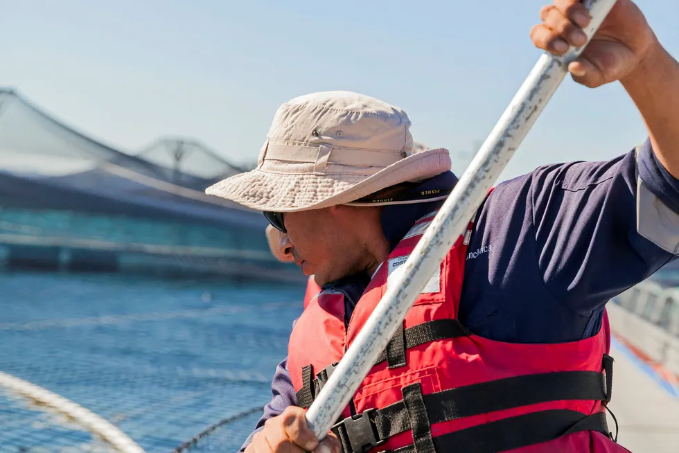 Salmones Camanchaca succeeded in reducing ex-cage costs in the third quarter to $4.40 per kilogram from $5.50 per kilogram a year earlier.