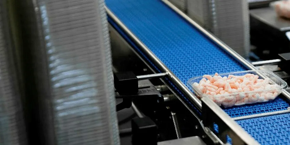 UK frozen seafood wholesaler Sykes Seafood launched its E-commerce platform in September.