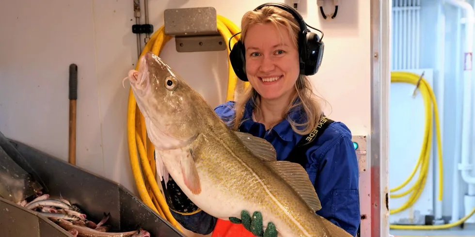 The 'milestone' process to regain the Marine Stewardship Council (MSC) certification for inshore cod formally kicked off.