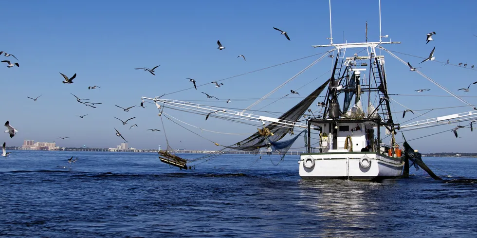 . US Gulf of Mexico shrimp boat.