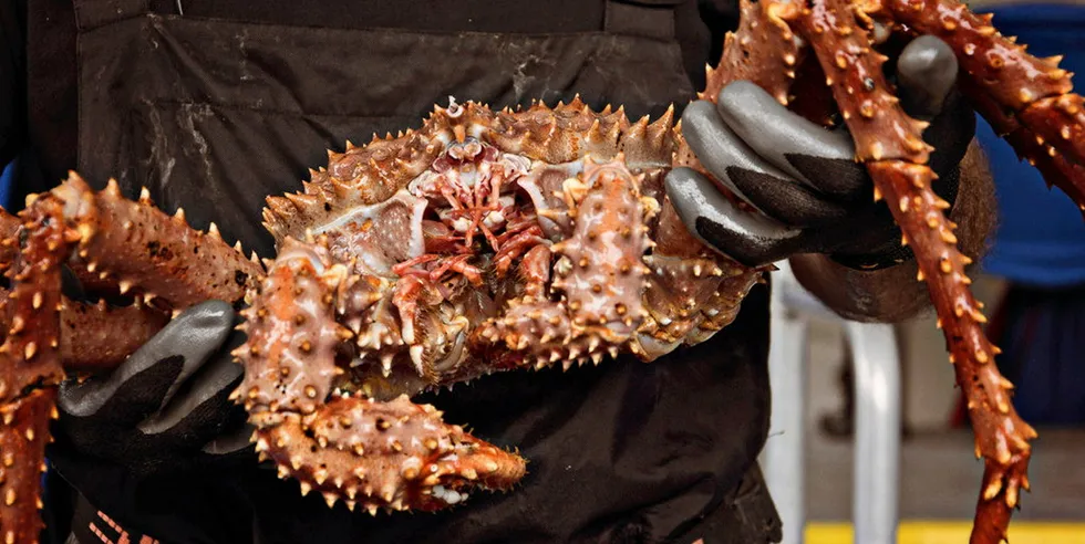 A scientific paper presented by the council staff to the council in April found that trawling methods that make contact with the seafloor are one of the factors impacting red king crab stocks.