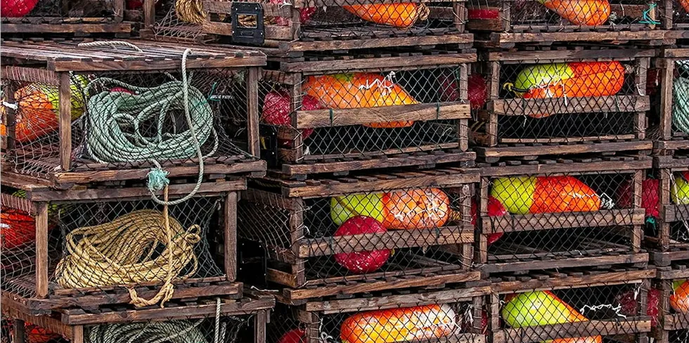 Lobster traps on a Canada dock. The Canada lobster industry says it's being unfairly blamed for North Atlantic right whale deaths.