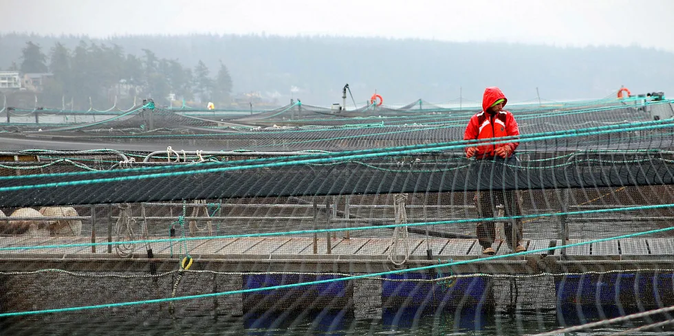 Cooke Aquaculture's Hope Island salmon farming site in Washington State.
