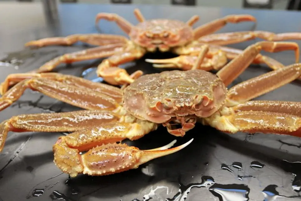 China has approved live snow crab imports from Norway.