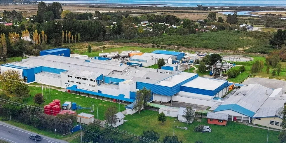 Salmones Austral has 62 salmon farming concessions in Chile, as well as two processing plants in Chiloe and Puerto Montt.