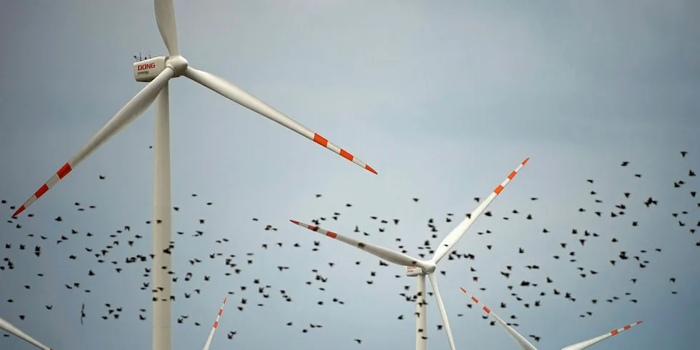 Wind turbines at Lake Ostrowo, Poland. Pic: Sisse Brimberg & Cotton Coulson