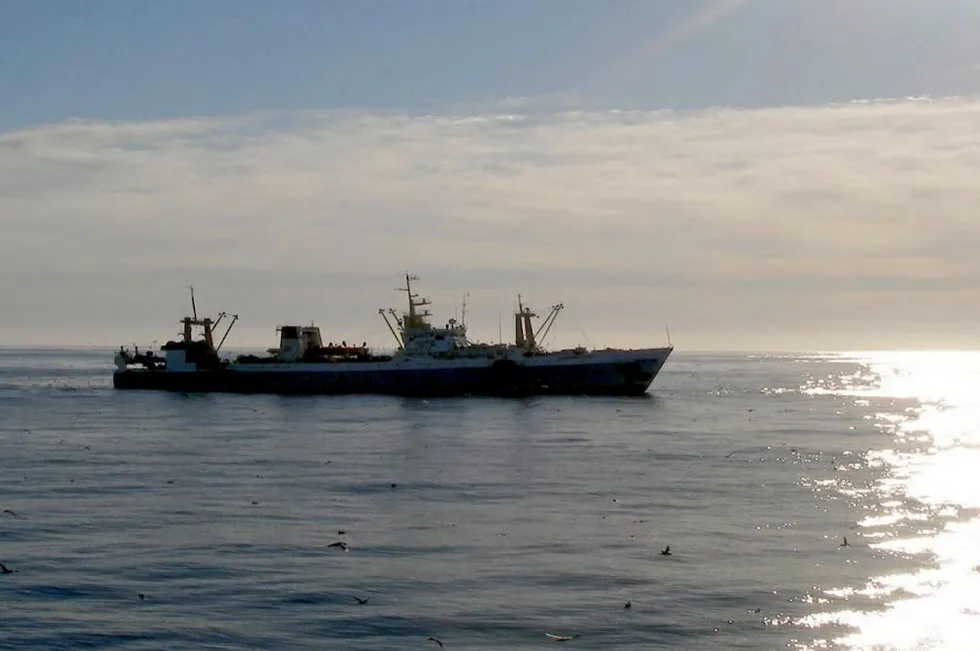 A whitefish executive said he sees an outright ban on Russian fish imports by the EU as inevitable.