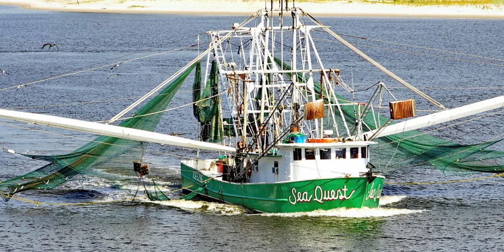 The US Department of Agriculture (USDA) has placed an order for up to 20 million pounds of shrimp from Louisiana and US Gulf of Mexico shrimpers.