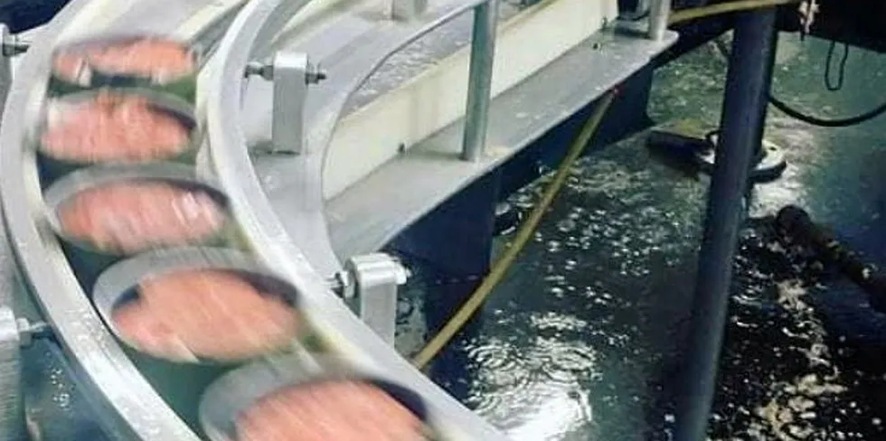 OBI Seafoods has over 100 years of salmon canning history.