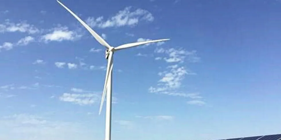 Hybrid wind solar plant