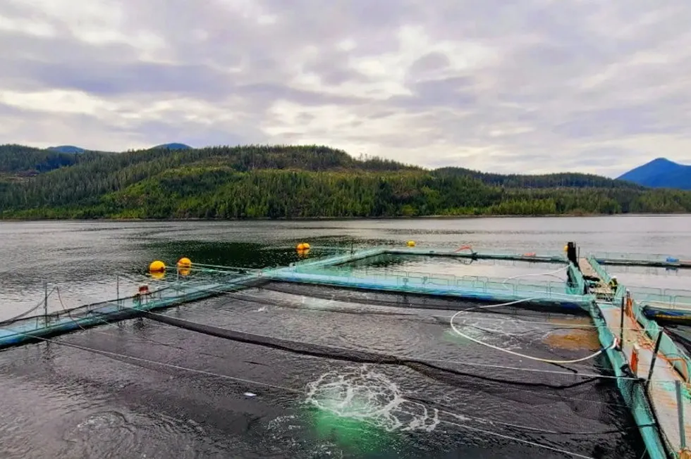A diesel spill occurred Dec. 14 at a Grieg salmon farming site in British Columbia.