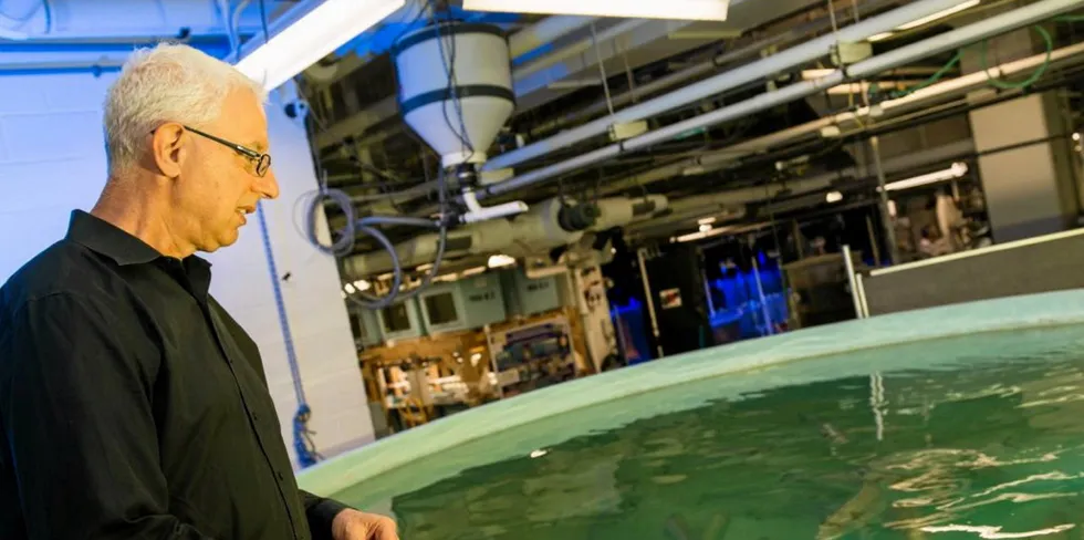 Yonathan Zohar observes a tank at the Aquaculture Research Center, located at the Institute of Marine and Environmental Technology.