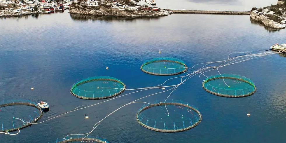 A salmon farm outside Bergen, Norway. Farmed salmon prices have taken a tumble recently.