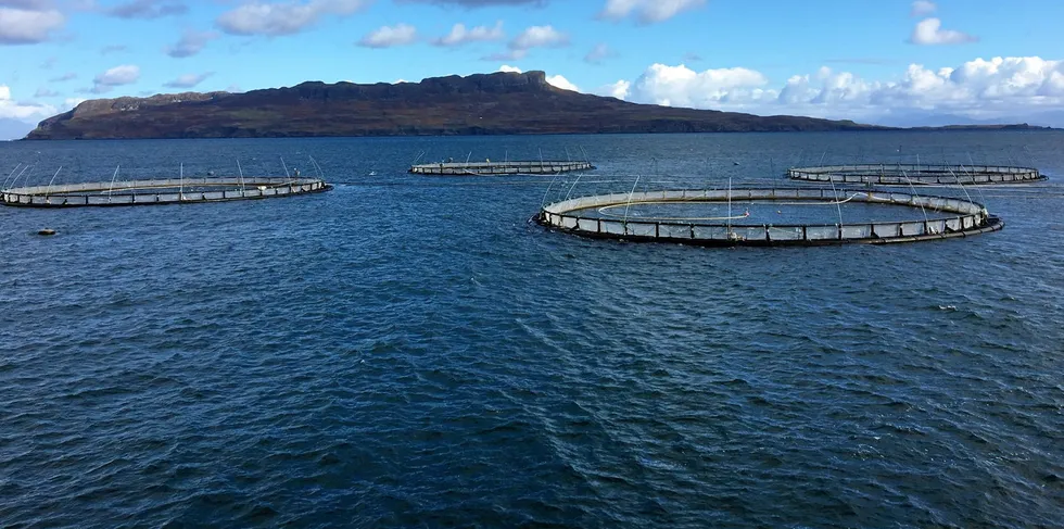 Mowi Scottish was the only operation across the globe to post positive EBIT/kg growth in the first quarter.