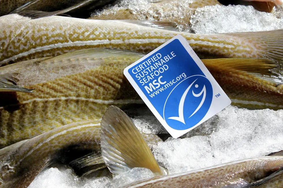 Unhappily ever after? Despite a rocky relationship, the MSC and whitefish producers are stuck with each other