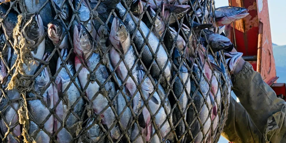 A revised US executive order will ban Russian salmon and other species from entering the US via China.