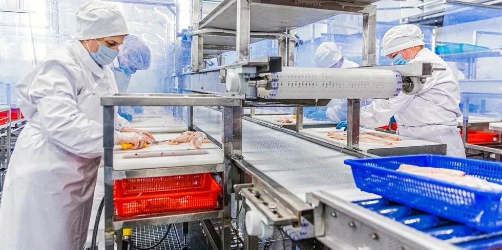 New processing facilities in Russia are contributing to a boom in value-added fish fillet production.