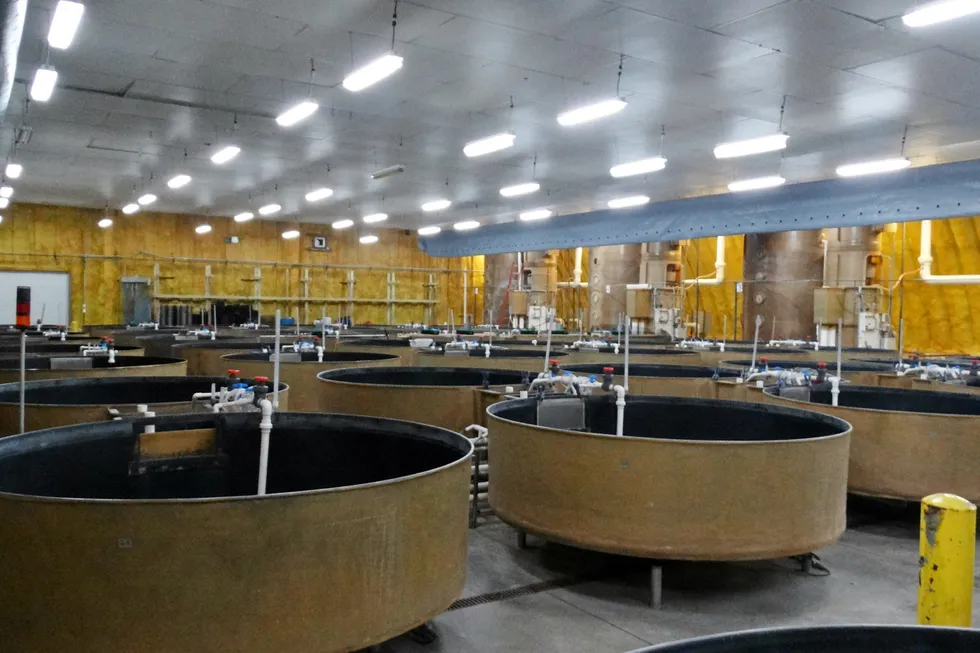 AquaBounty's Indiana facility has been acquired.