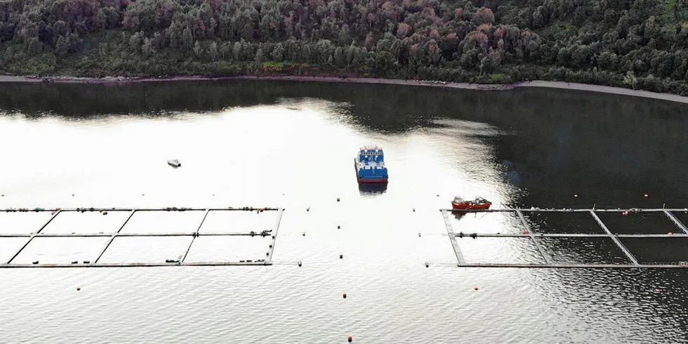 Chile imposes strict rules on the disposal of fish after mass salmon mortalities.