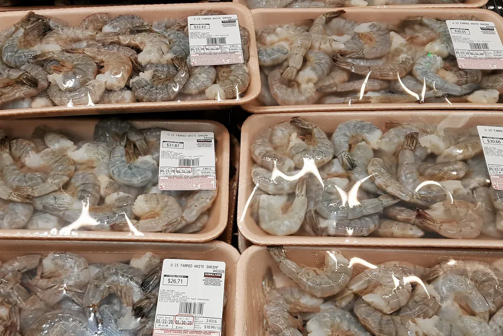 US lawmakers and wild shrimp interests are urging the Trump Administration to crack down on farmed shrimp imports.