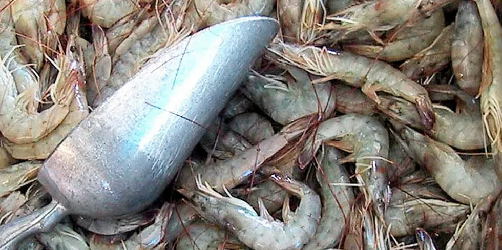 COVID-19 impacts and disease were juxtaposed with some serious tech developments in a year of change for the global shrimp sector.