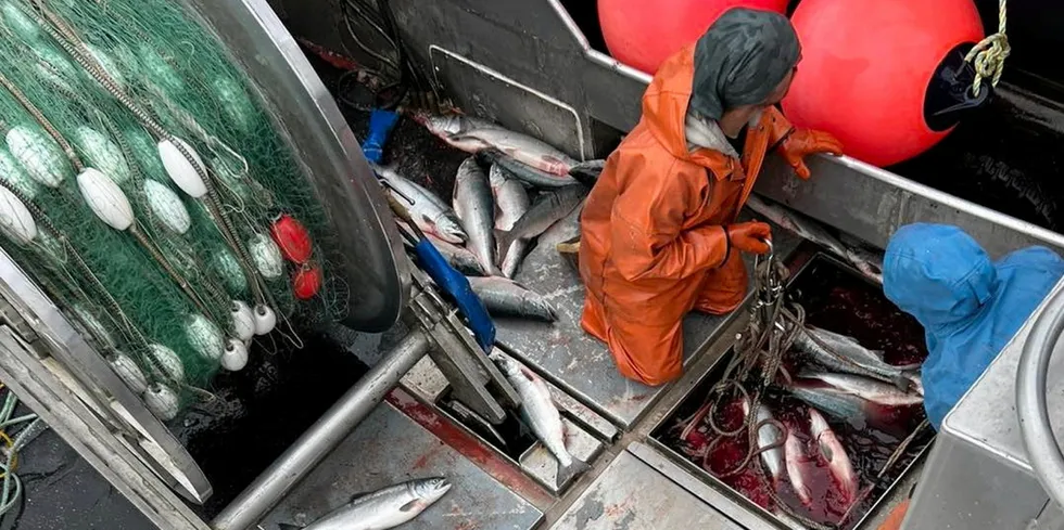Rogotzke Fish Company hauling in fish from Bristol Bay on July 15.