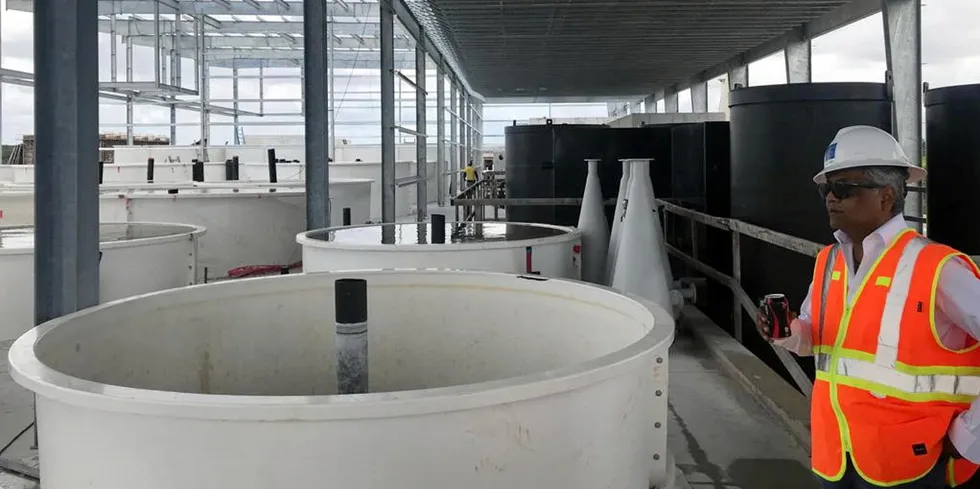 "It is a great milestone to finally initiate operations in the post smolt grow-out facility," said Dharma Rajeswaran, COO of Proximar.