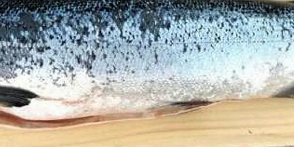 Land-based coho firm Finger Lake is targeting US-wide production.