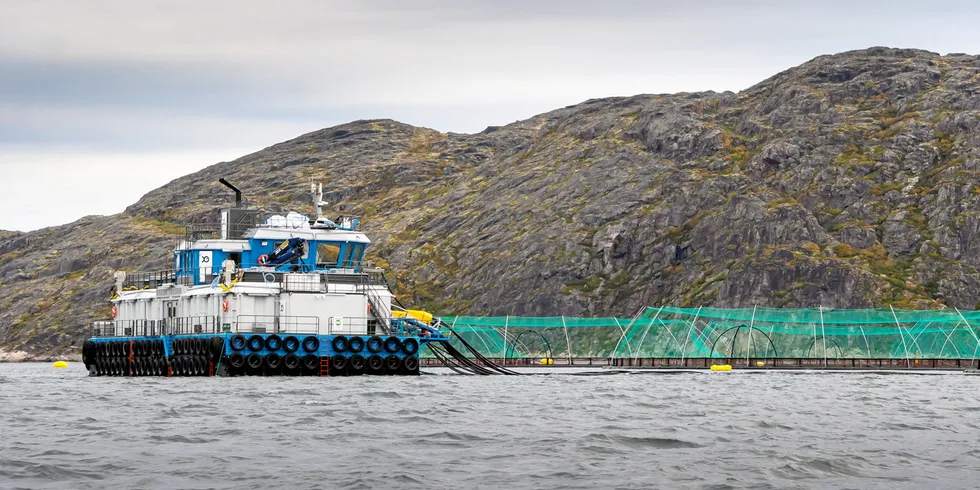Farmed salmon and trout production in Russia jumped 19.5 percent to 95,000 metric tons.